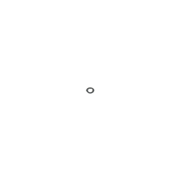 Flat Washer, #8 SAE, Stainless Steel