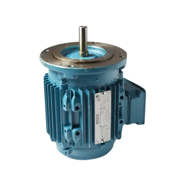 1/3 HP Motor