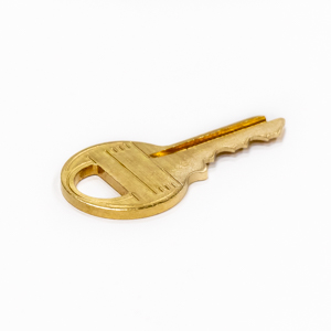 Padlock- Keyed Alike – 1 key