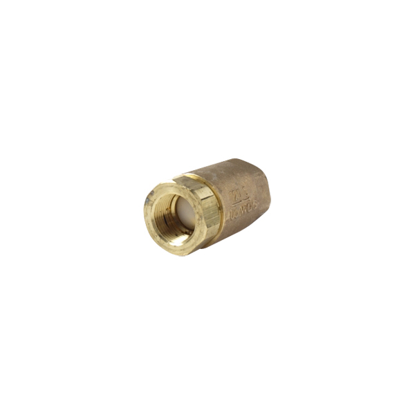 Brass Check Valve – 1" NPT