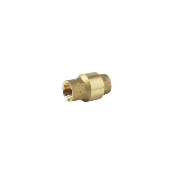 Check Valve – 3/4" NPT