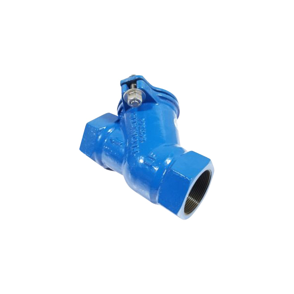 2" FPT Check Valve