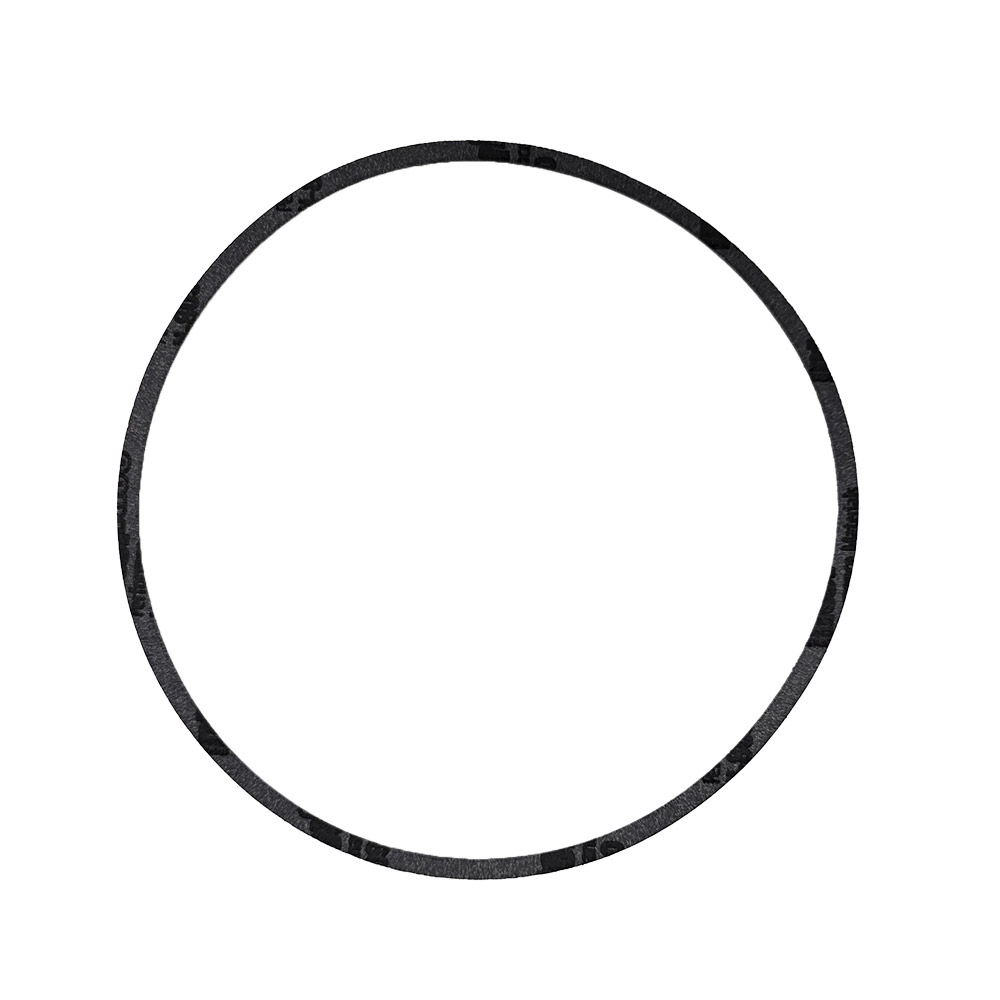 PUMP VOLUTE GASKET