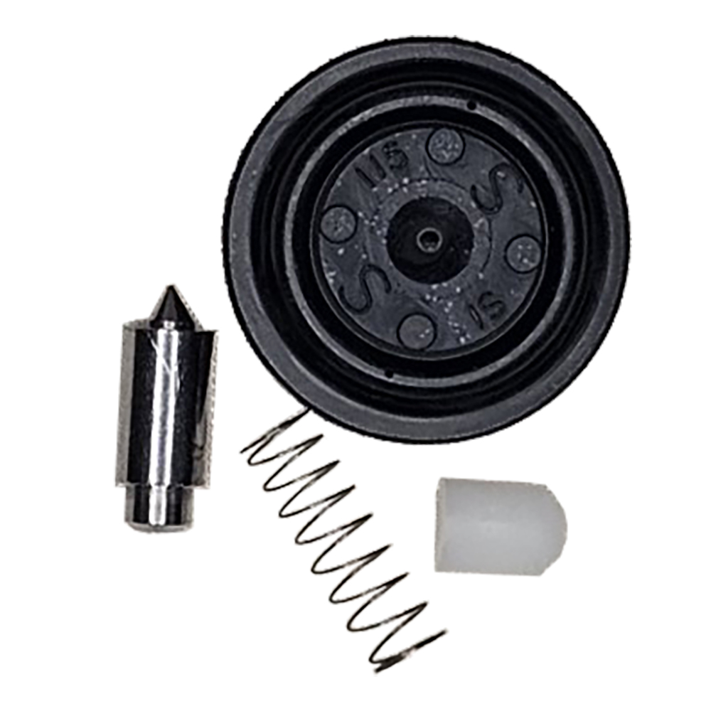 VALVE REPAIR KIT/12407-015