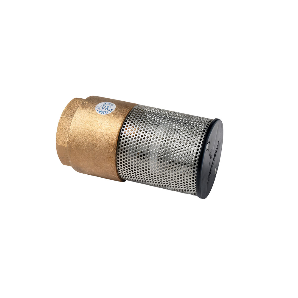 VALVE/FOOT,POPPET,2" FPT