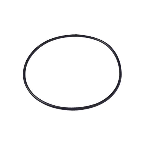 LARGE O-RING FOR PKG-98 (U9-171)