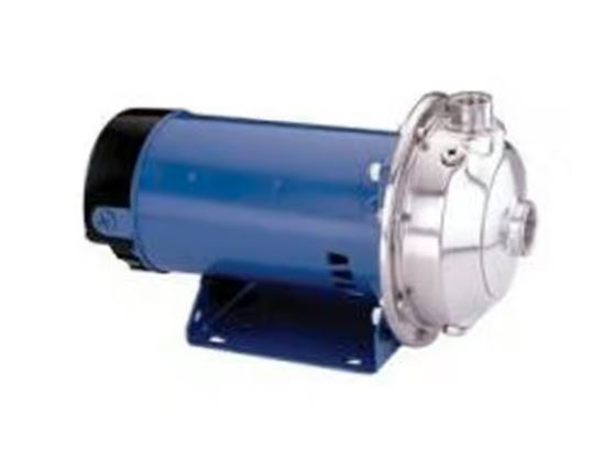 2HP 3PH 230/460V CENT. PUMP (100MS1G2A4)
