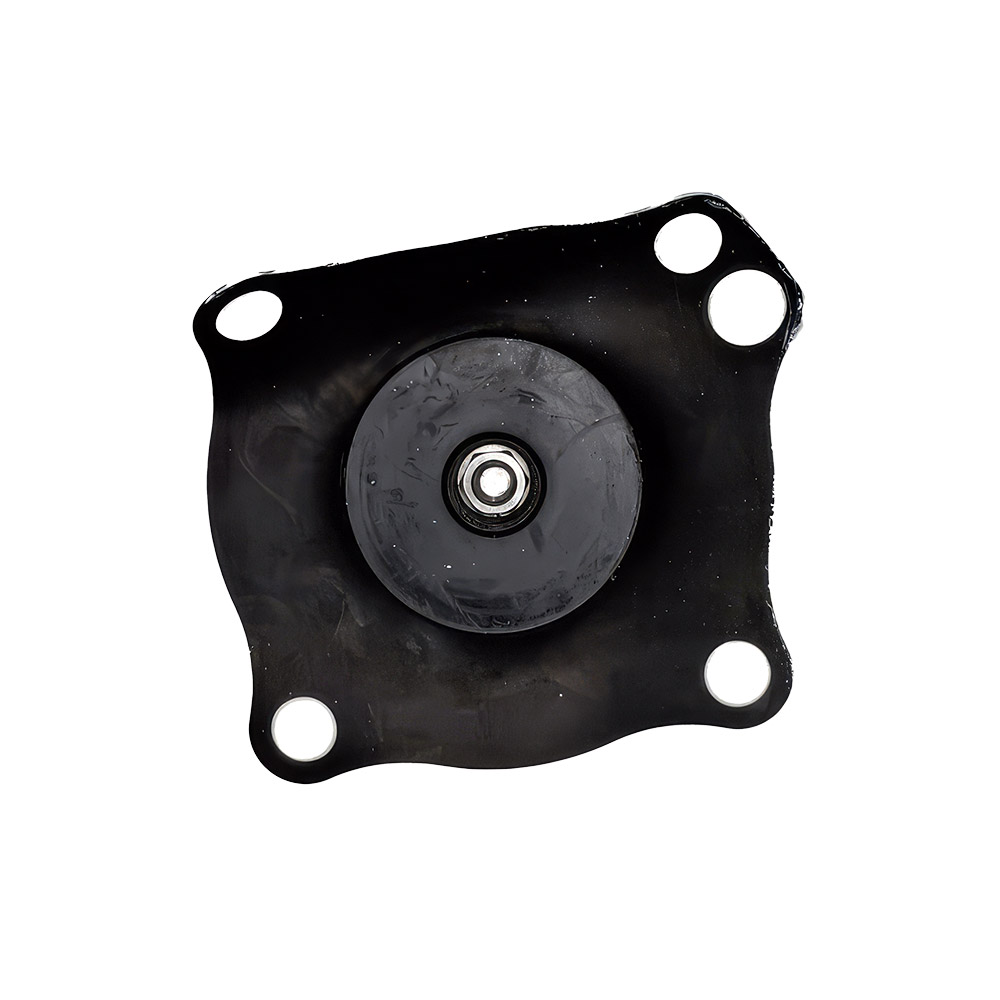 2 DIAPHRAGM FOR GC VALVE (015-0091BA)