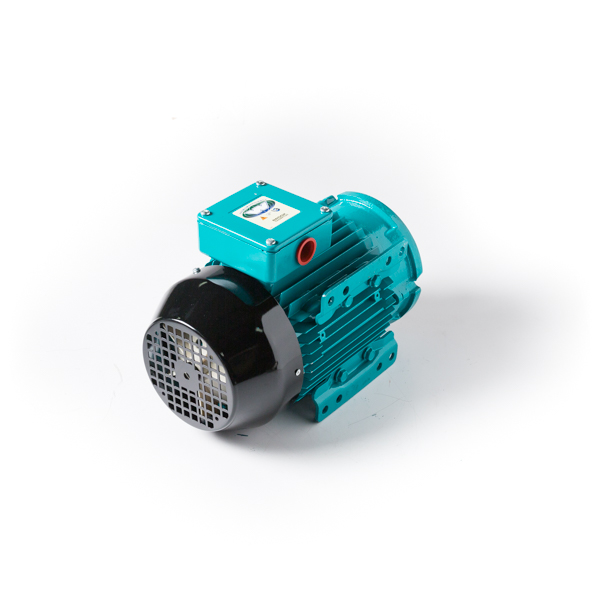 MOTOR/ELECTRIC 2.0HP