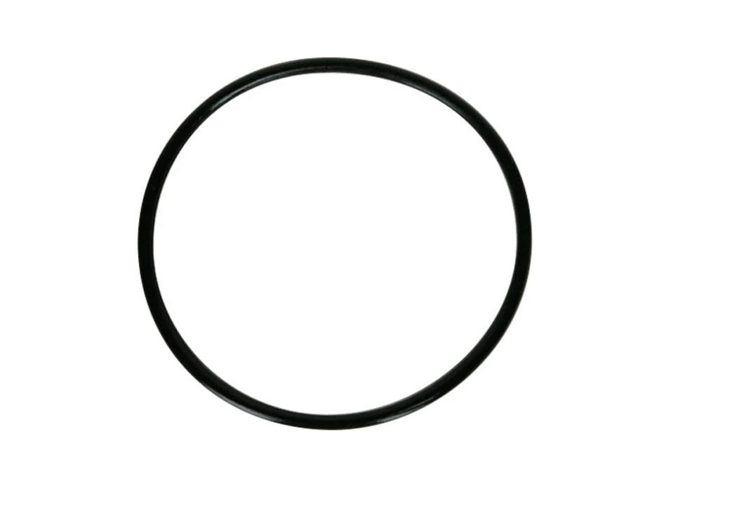 LARGE O-RING FOR MEMBRANE HOUS (SPV-40CAP34)