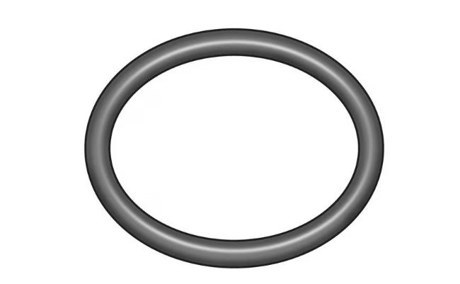 ADVANTECH 4" O-RING (40071)