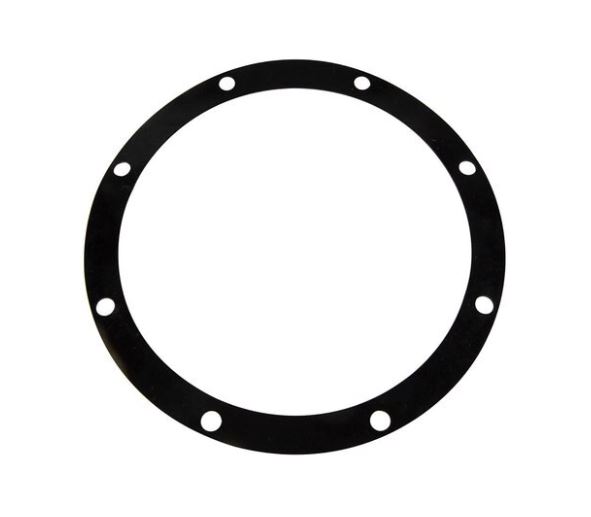Volute Gasket for D Series Sta-Rite Pump (C20-46N)